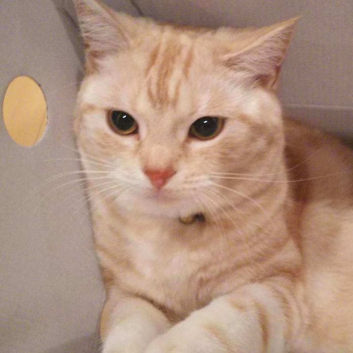 22bc32c1 b016 48ef 8ebe efc52cac5da3