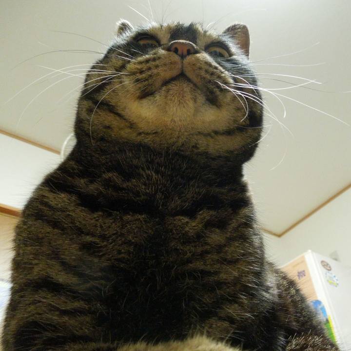 22bc46bc 1543 4da4 a92c 70004fc135f7