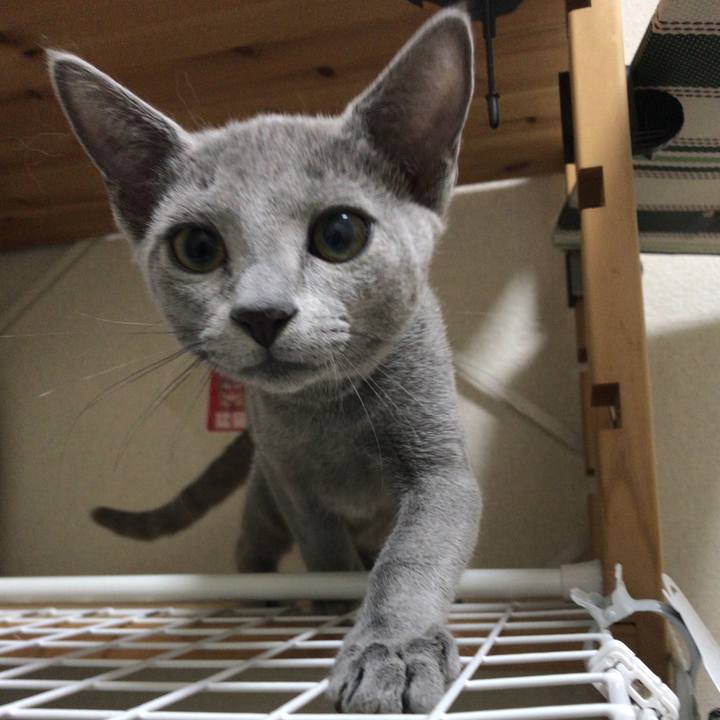 22bdd8ca 3c13 4098 872c ae4b251b8050