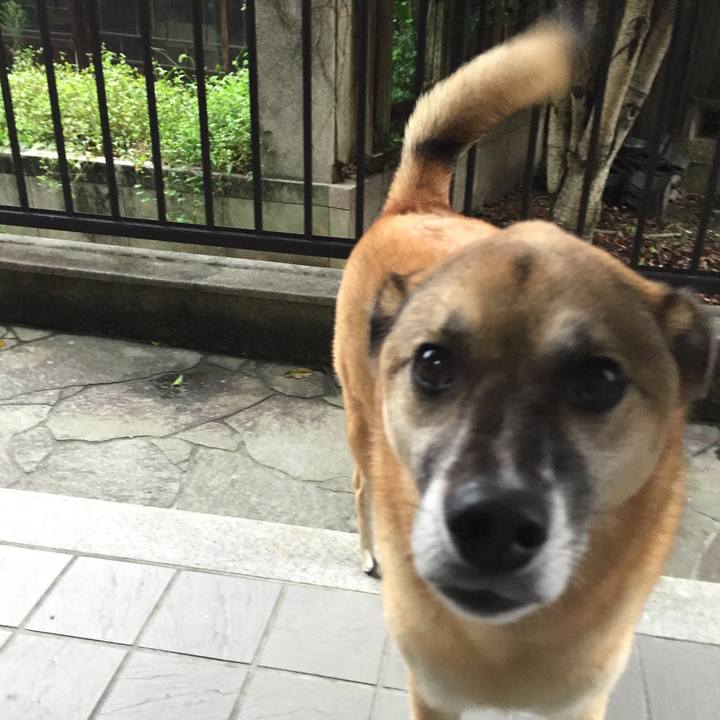 22be82d5 24fd 47fc bcfa bee1d7e66e9e