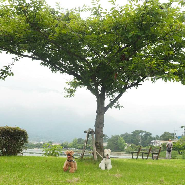 22bee646 83da 4d3e 8a89 560189edc518