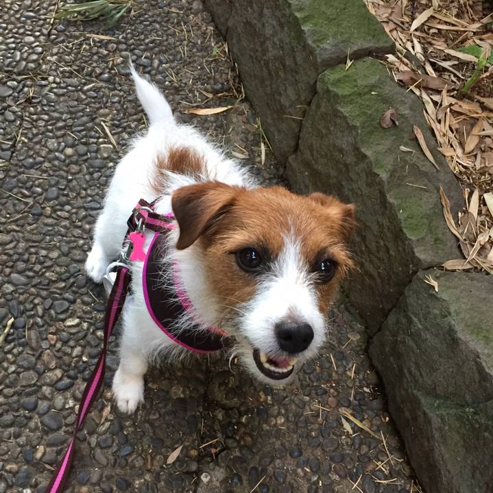 22befc70 2620 45fa ad61 d7dd5865e97a