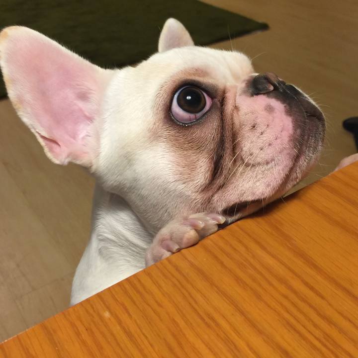 22bf0b66 c9aa 43c7 ac6c 916d2796099d