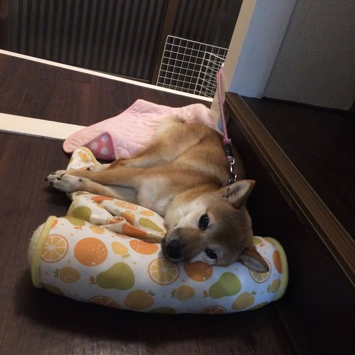 22bf1701 37ae 4381 bdba 12217760fa48