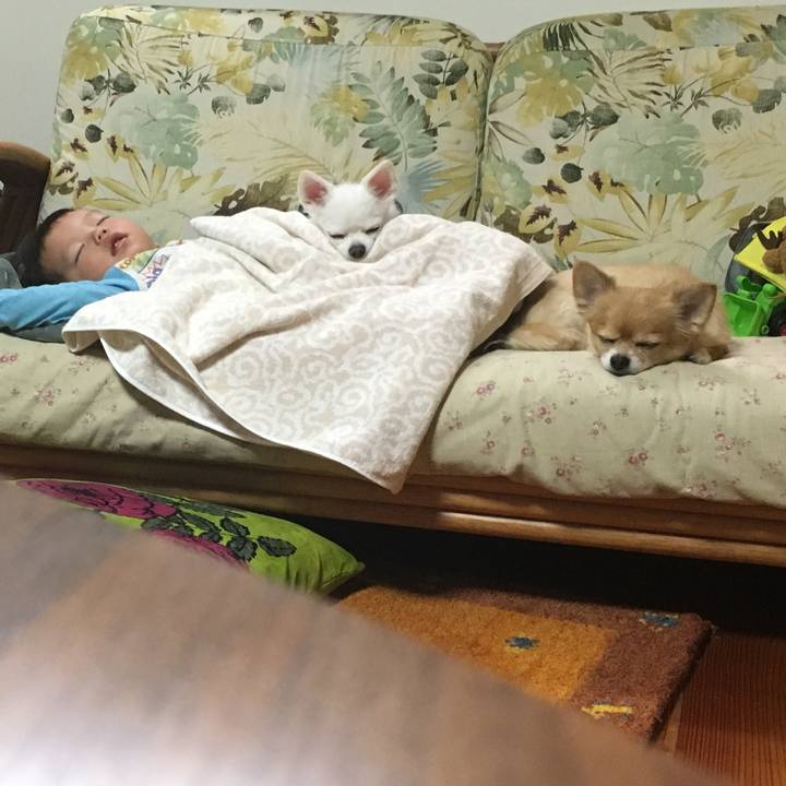 22bf1ac0 af2f 4523 9a32 bd8b27033383