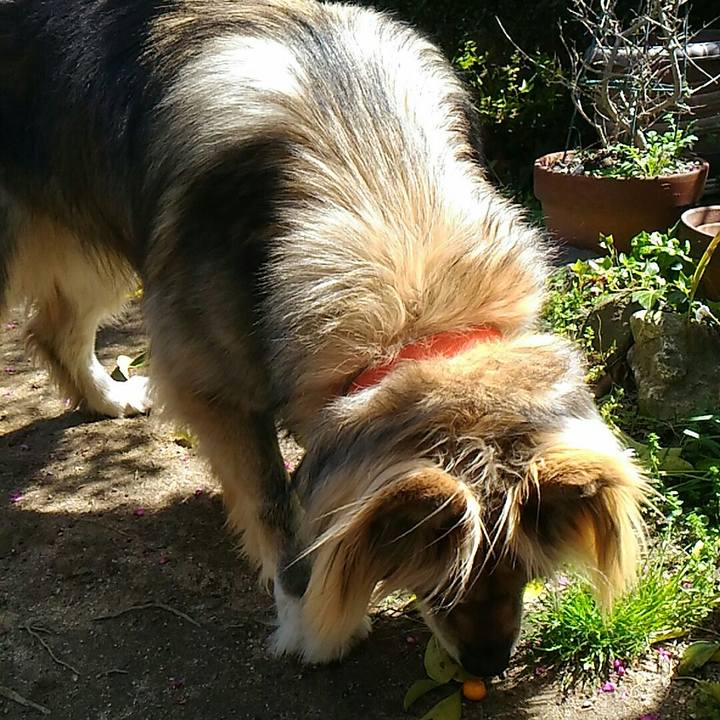 22bfacf9 fc11 4d62 87b8 f8e15d5ef59b