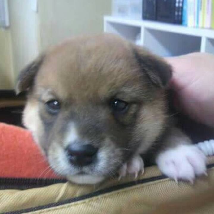 22c0305e 7b1d 4e1b 8d60 f2fce84f9c59