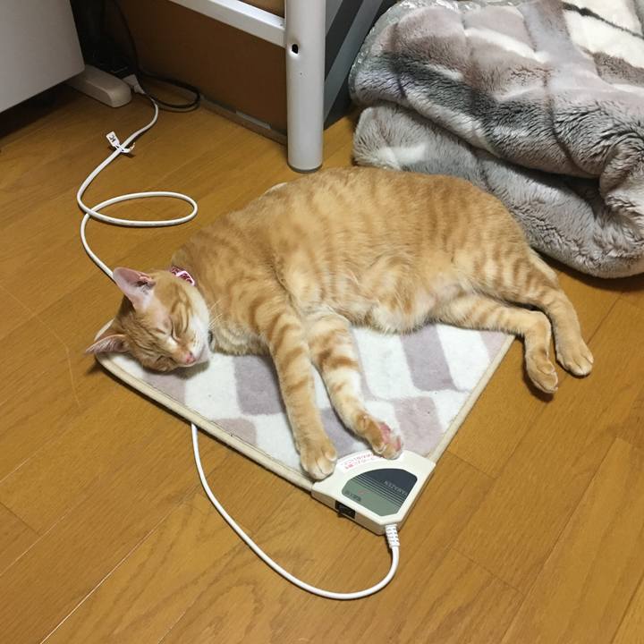 22c04de1 ff40 44f6 92fe f2534339cc0d