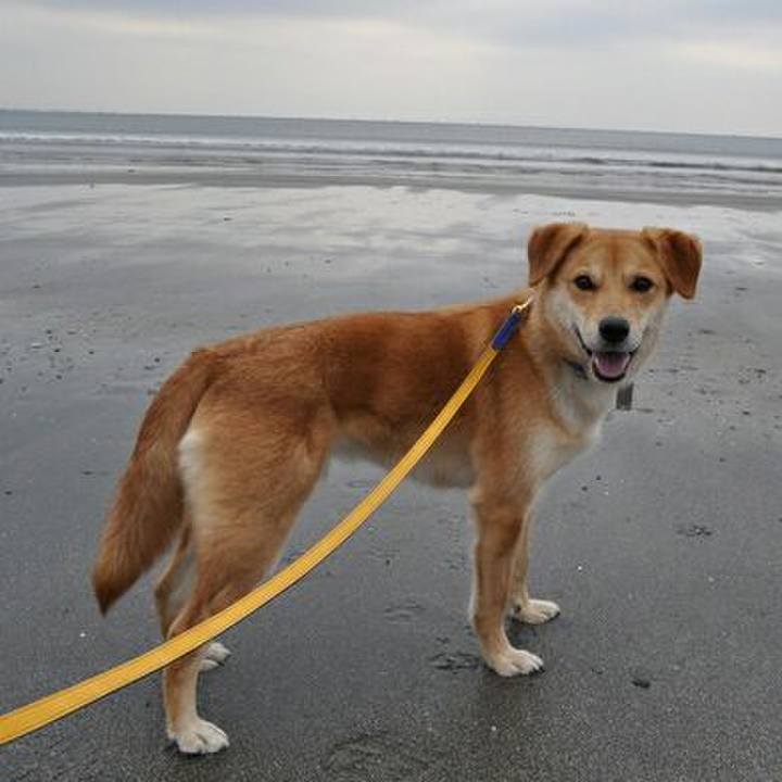 22c1573f 2166 4b0e 8fa3 1661cb7936e7