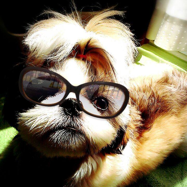 22c22f3b 51bb 4638 8e7a 886994d8b352