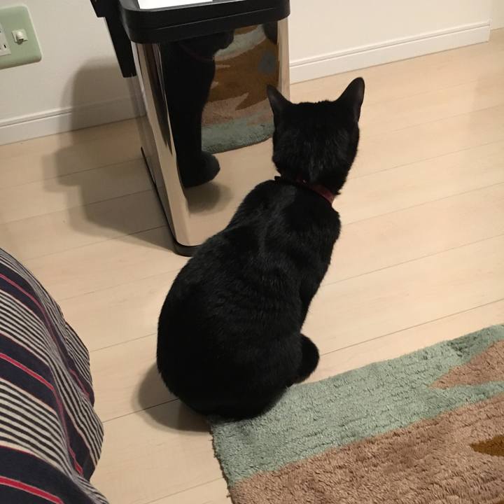 22c25d70 4517 49cf 87f1 1be5c117c11e