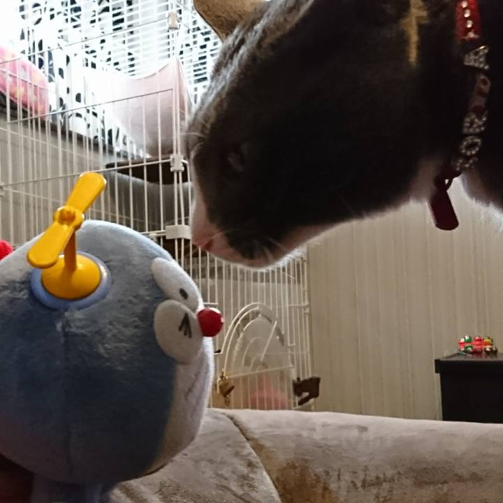 22c2eb93 3593 48ef 8ec5 8a6975466c39