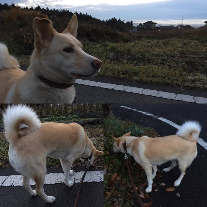 22c2ec59 7246 489d b6dc 293be50a6f4d