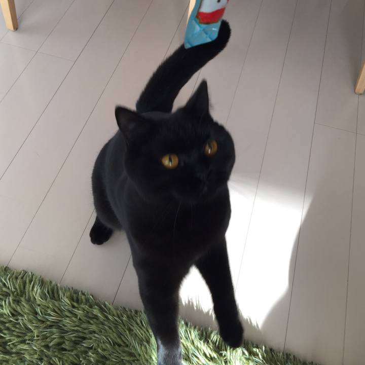 22c2ee2e 6dd0 4a81 af52 eb85d972b480