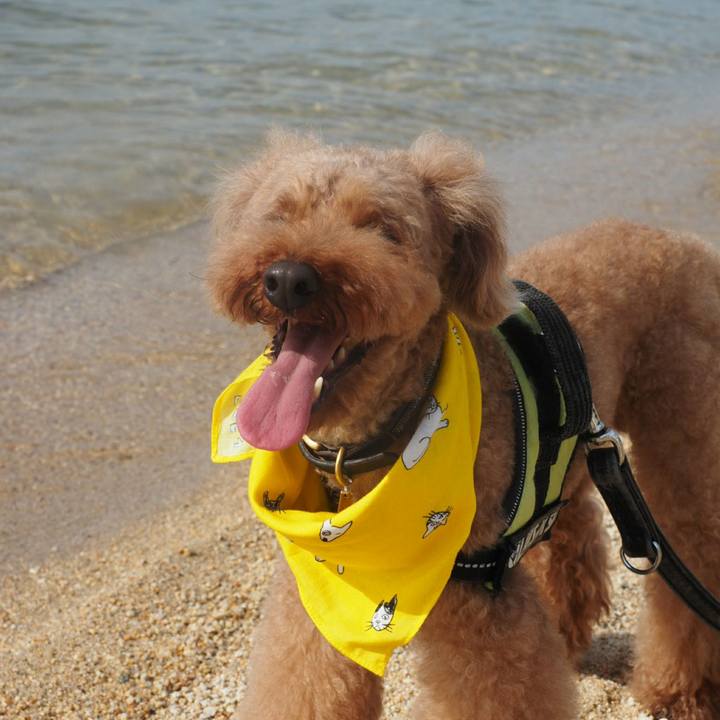 22c3506e 9fed 41e5 bc80 5ebd64d60b7d