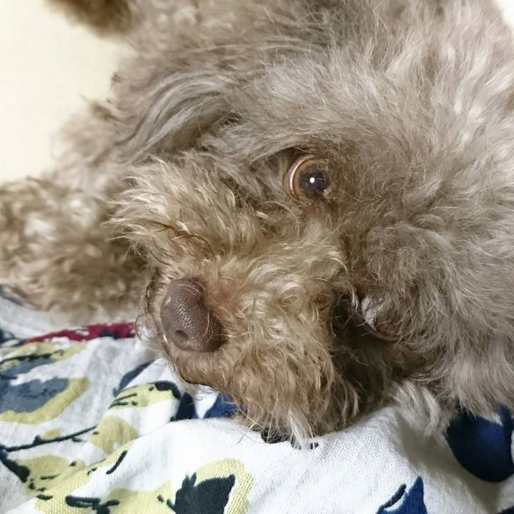 22c39765 2cf4 4fd6 991c 52754164d91d