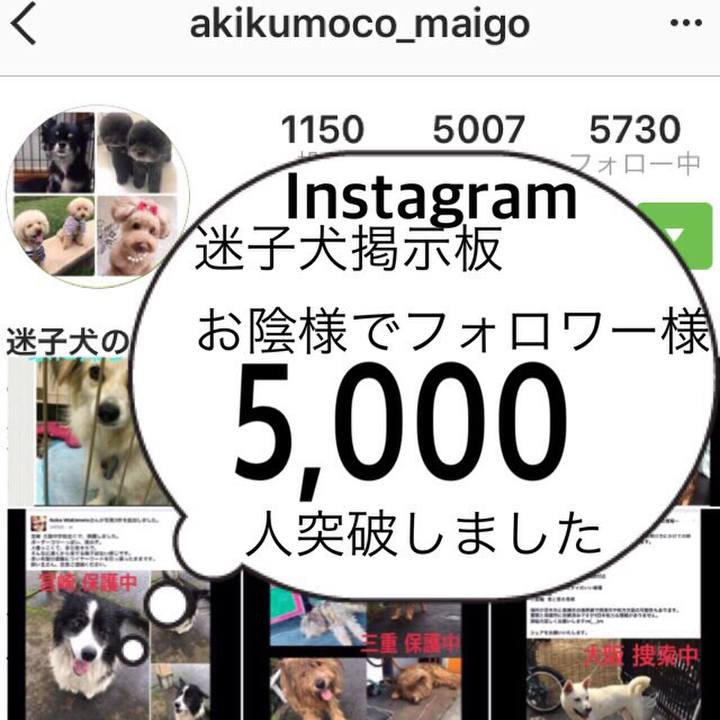 22c3f5d8 03ba 4bfa 881d 27935db13861