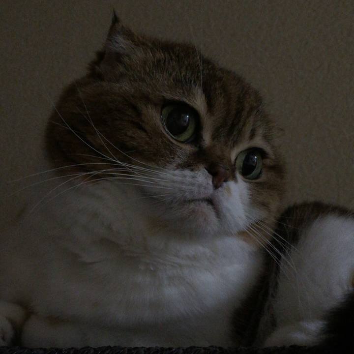 22c469f1 20d7 486f bde1 928c22acc2bc