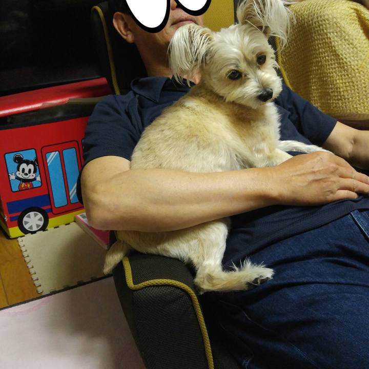 22c4f6ad fd4b 4123 8577 7ee218d3068a