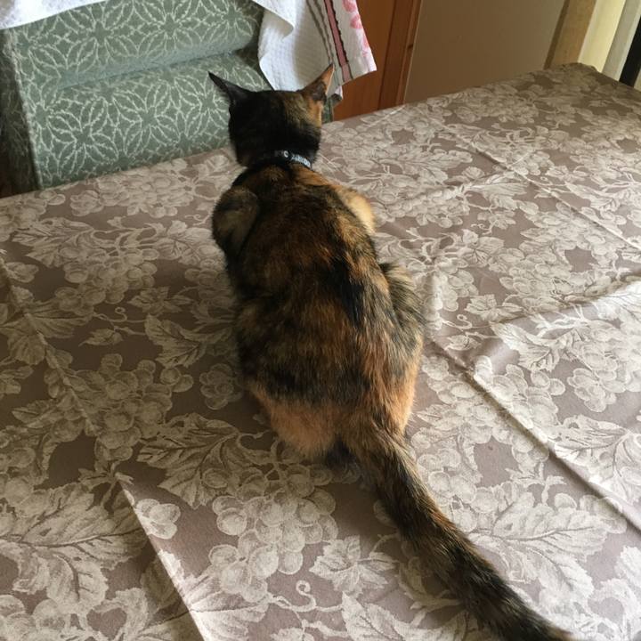 22c522bc 8a9e 44db 8e8e c2fec7a65543