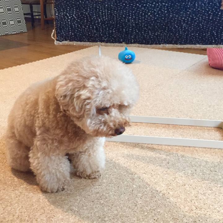 22c6041e 39f5 4ad2 8f32 8e4a7afe614e