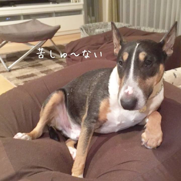 22c63063 08ee 4bbf 8bb7 3a36c87f1525