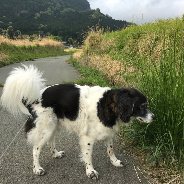 22c63088 a8de 4f28 9965 1808ed565073