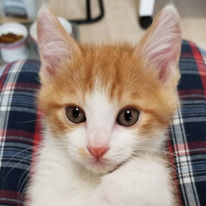 22c64f1e f265 4125 a7ca 34cc7fd4409b