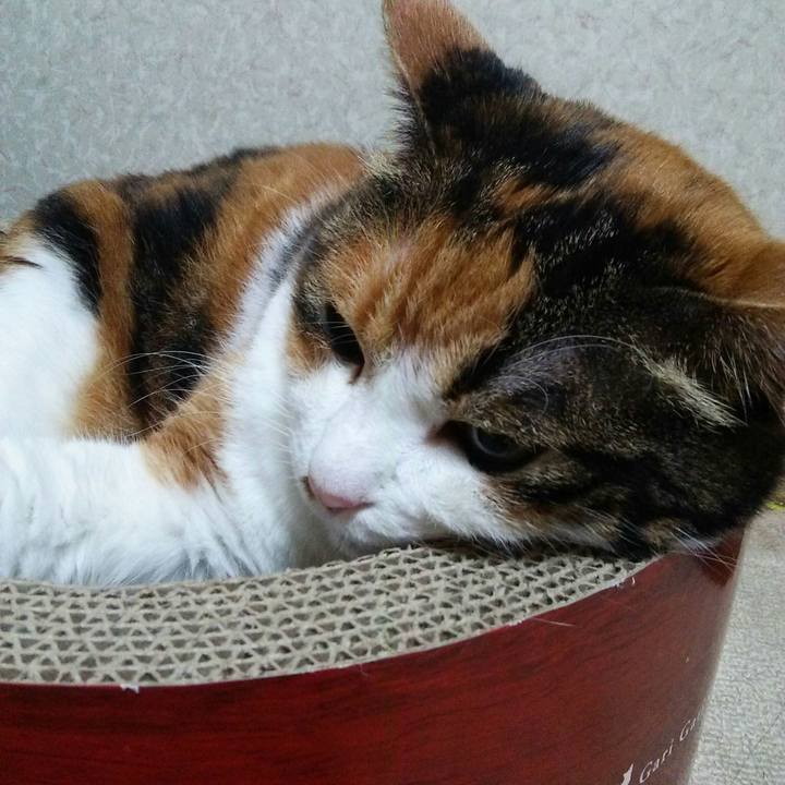 22c6cefc d7e5 4ba5 aa99 ba19f84a23b2