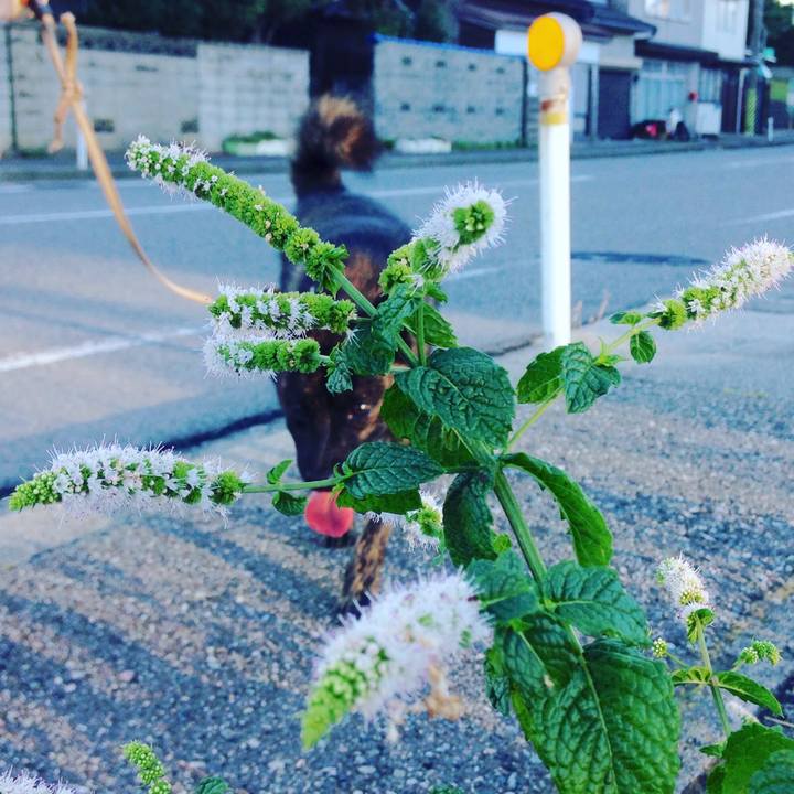 22c70f1b 524d 4fba b9e5 93963eb34f4a