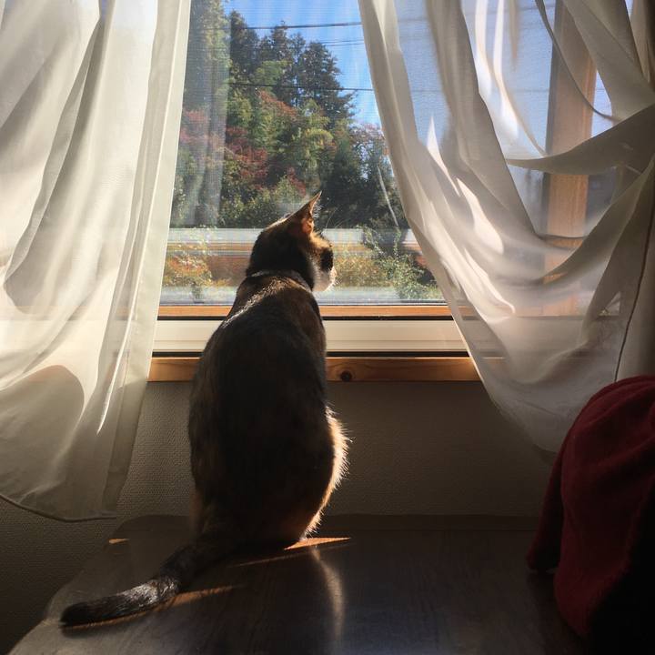 22c799a8 5fa5 4b94 92ab 635c71bc3a25