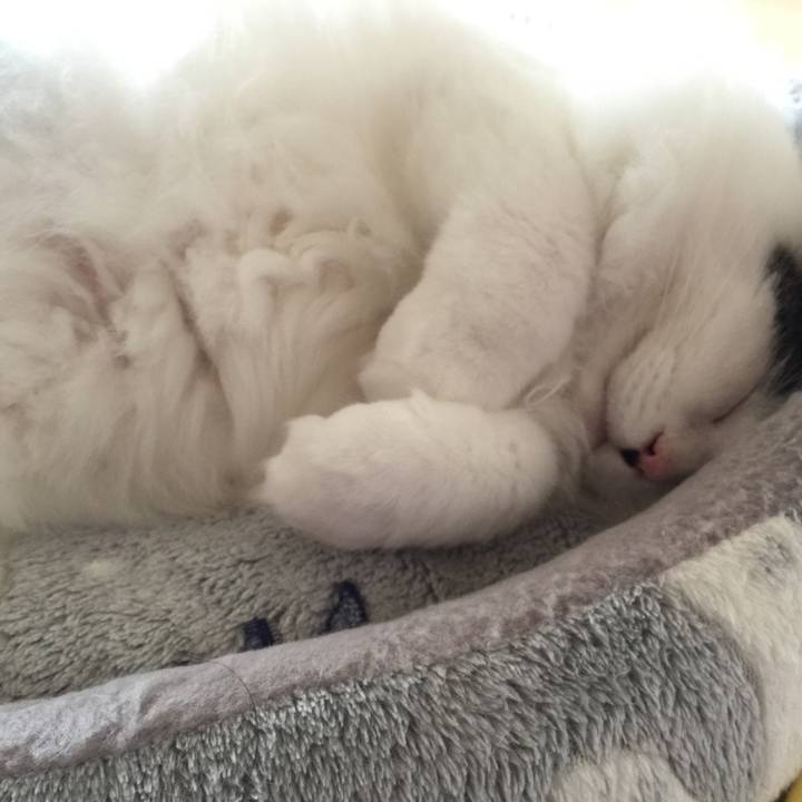 22c7f318 dcea 44dd b863 be38e2aaf713