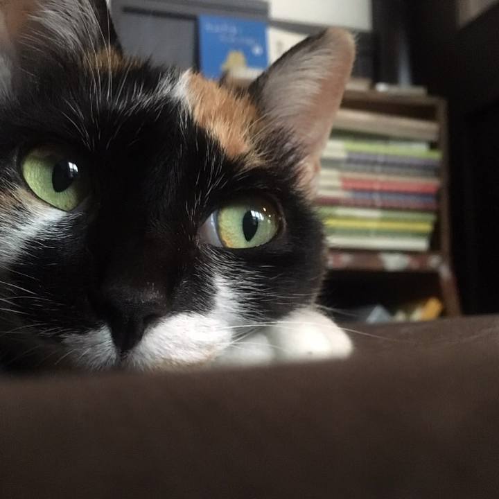 22c86b60 da17 4ba5 a747 7c1e7c0598fa