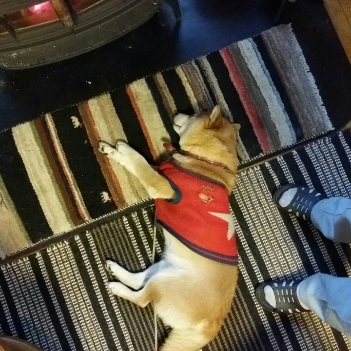 22c97440 c0f3 414c 9e2c e342a4bda675