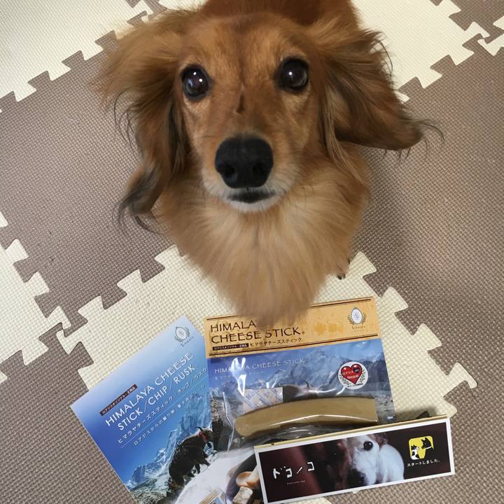 22c99ac4 dc75 42f3 bb07 2cb46138c0c7