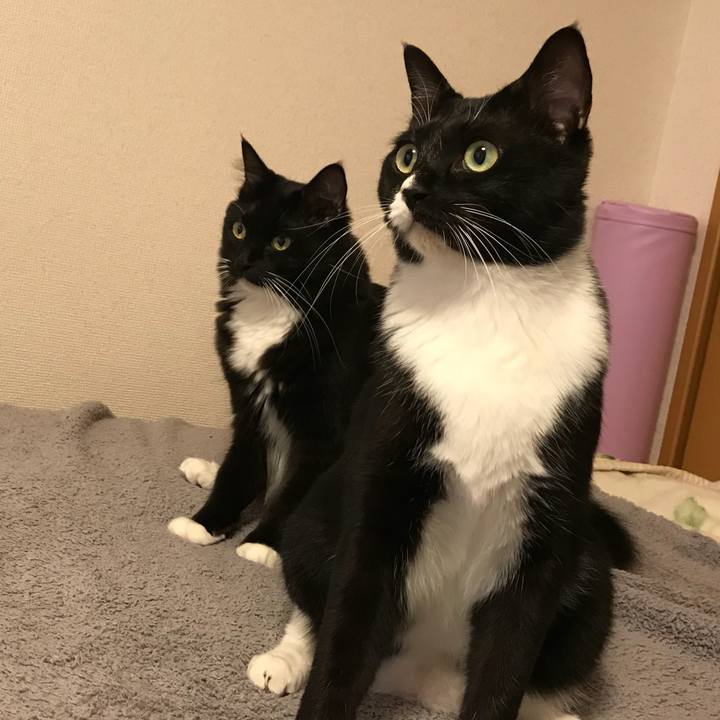 22ca2cd8 d43e 42dd ab30 199f8d27db8e