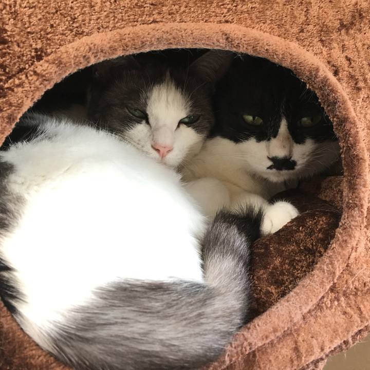 22ca9789 31ce 465b 8b44 13c59bfdd7f5