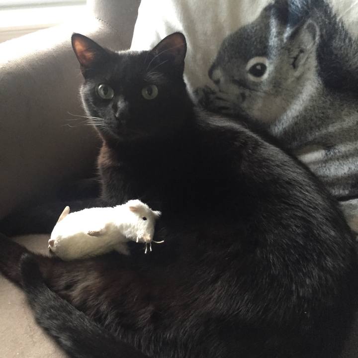 22cacf23 dd7a 437c bcaf a71b5575b787