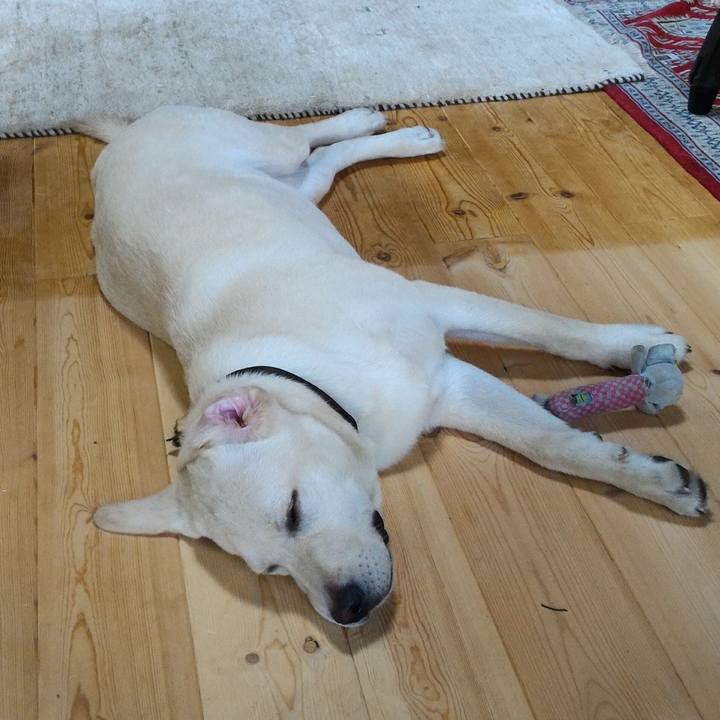 22cb10e9 f970 4736 84c2 fcb19dfd6736