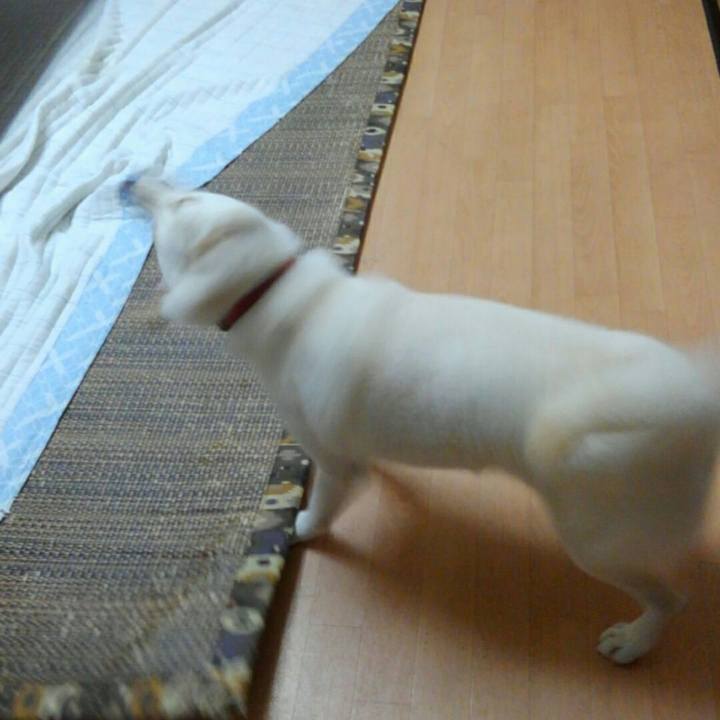 22cb6f5c 805c 4488 8c03 df68d79171af