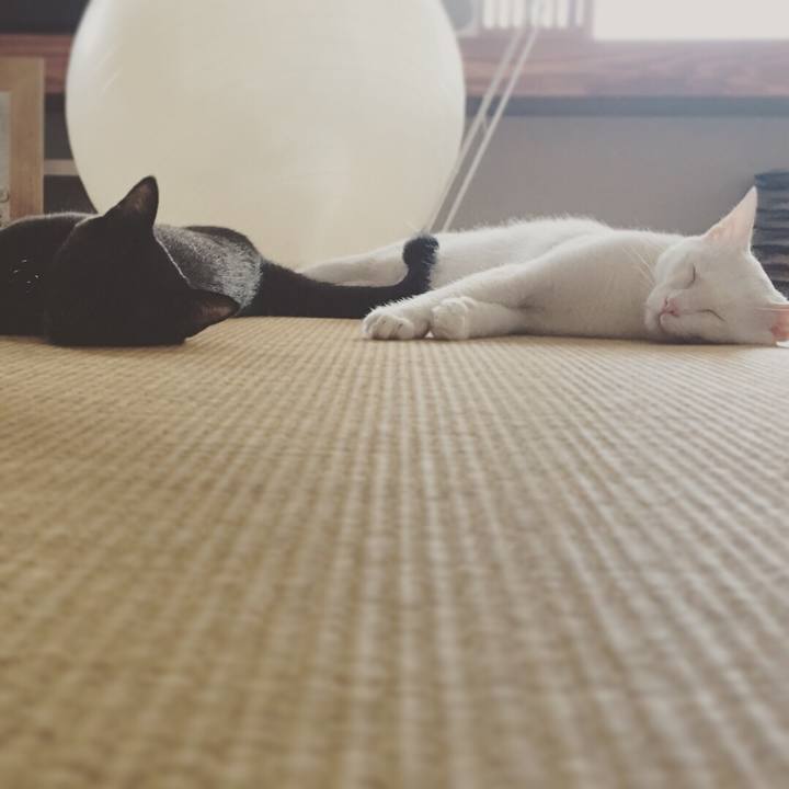 22cbda05 f3a2 4d91 ab57 b234b963d6b9