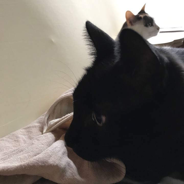 22cc0129 5fdd 4030 aefb 91b09460b7ae