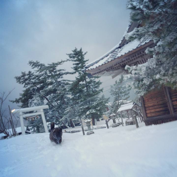 22cc8497 d6e6 41c6 9660 2c6e364de6bf