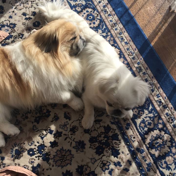 22ccb89c 1988 4d05 9e0c 6cb72b653514