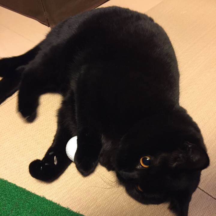 22ccd7e2 a282 4c72 9fbd 67357eb40f0e