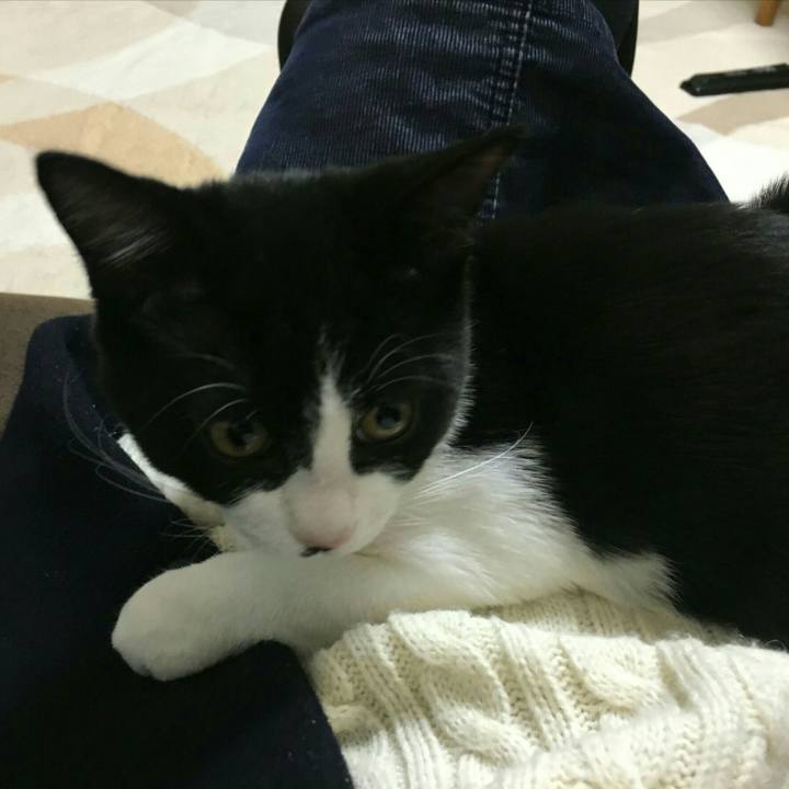 22cd177c 9e92 4093 b2f7 65b801884d80