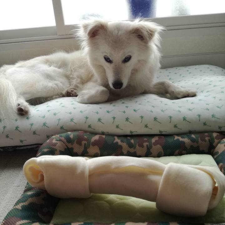 22cd24db f336 4dac 89a0 9b12ca7fc5e0