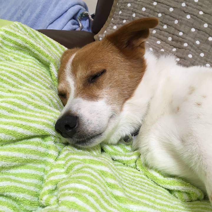 22cd94c9 07e2 4a83 a0b7 196a41266d23