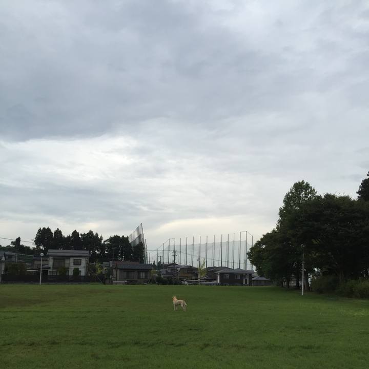 22ced858 a94b 436e 84f9 5b1b5d2eb47a