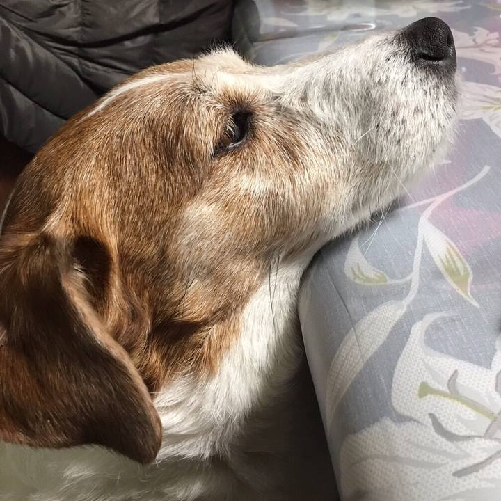 22cf0104 6470 4227 b66b ae066a5fdd3d